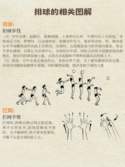 排球主攻手职责 示意图